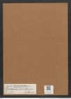 Diatoma rhombicum O'Meara (de-Toni-Nr.: Genus 58, Species 2543) Zeichnungen Sammlung Grunow Mappe 02722 (Herbarium_W_Grunow_drawings_Folder_02722)